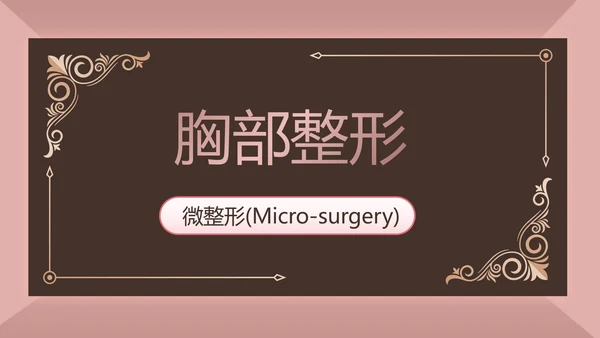 微整形项目介绍工作总结汇报动态PPT