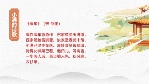 小满节气介绍PPT模板