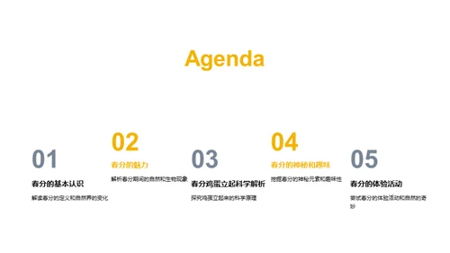 春分的奥秘与乐趣