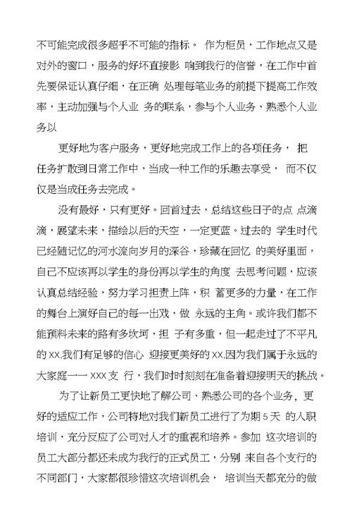 银行新员工个人工作总结