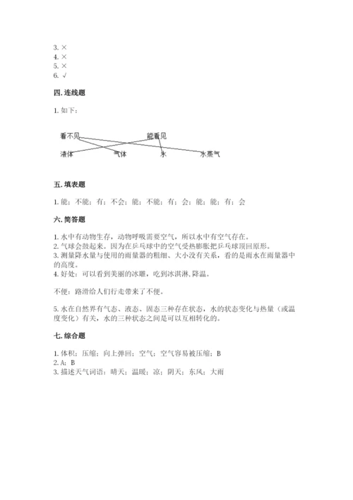 教科版小学三年级上册科学期末测试卷【精华版】.docx