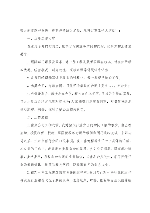 担保公司个人工作计划多篇