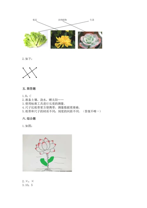教科版一年级上册科学期末测试卷带解析答案.docx