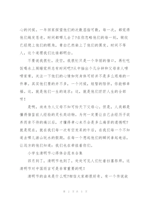 小学生清明节心得体会范本合集.docx