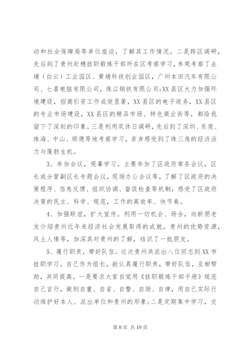 挂职锻炼年终工作总结参考范文.docx