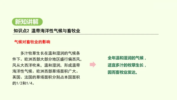 9.2 欧洲西部（课件32张）-2024-2025学年七年级地理下学期人教版(2024)