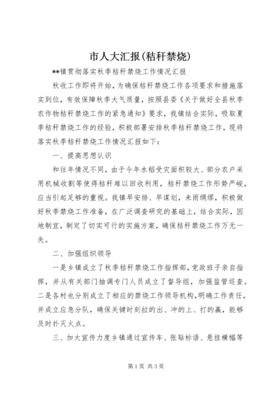 市人大汇报(秸秆禁烧) (2).docx