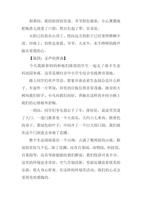 无声的教诲作文.docx