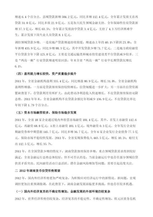 湖南货币信贷形势分析及展望.docx