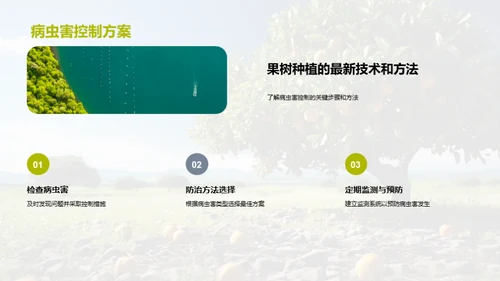 高效果园：种植与增益指南