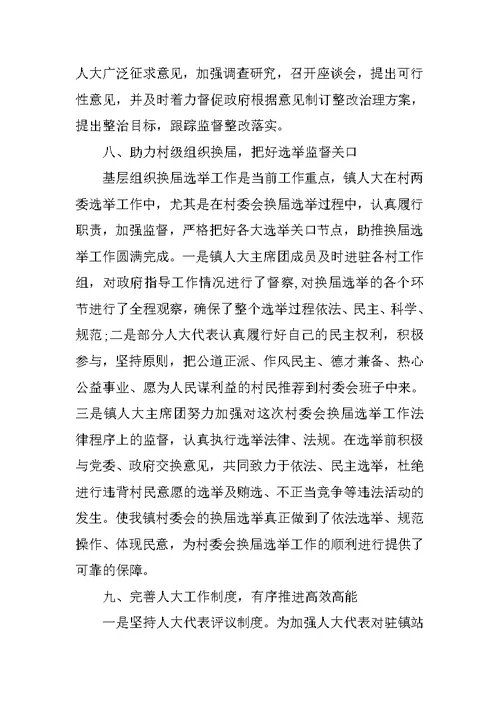 乡镇人大工作总结3000字