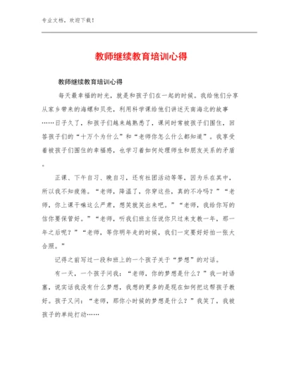 教师继续教育培训心得范文27篇.docx