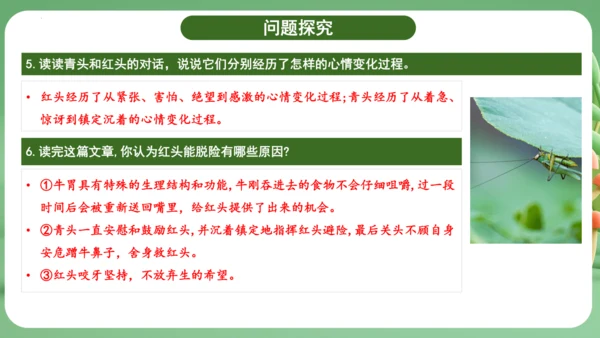 统编版2024三年级语文上册第三单元复习   课件