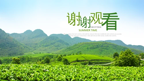 清新茶叶茶道春茶农村旅游茶园绿茶红茶PPT