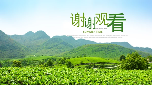 清新茶叶茶道春茶农村旅游茶园绿茶红茶PPT