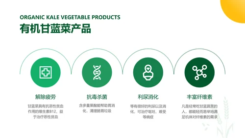 小清新绿色商务风农产品介绍手册