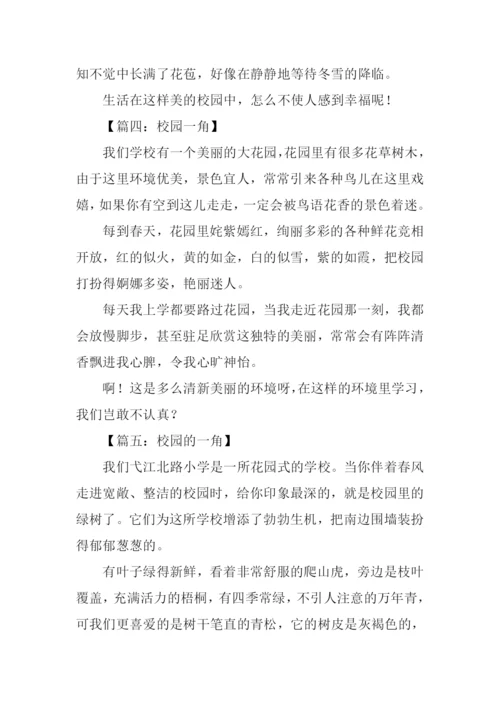 校园一角作文300字大全.docx