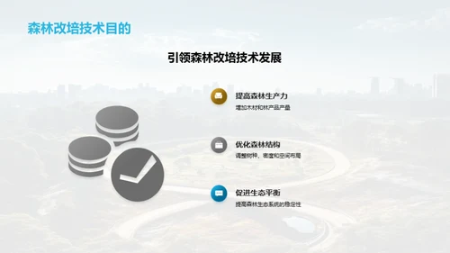 森林改培：绿色革新