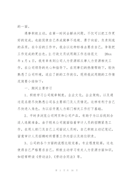 行政文员试用期工作总结范文（10篇）.docx