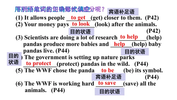 Module 6 Unit 3 Language in use.课件【外研（2024）版八年级上册】