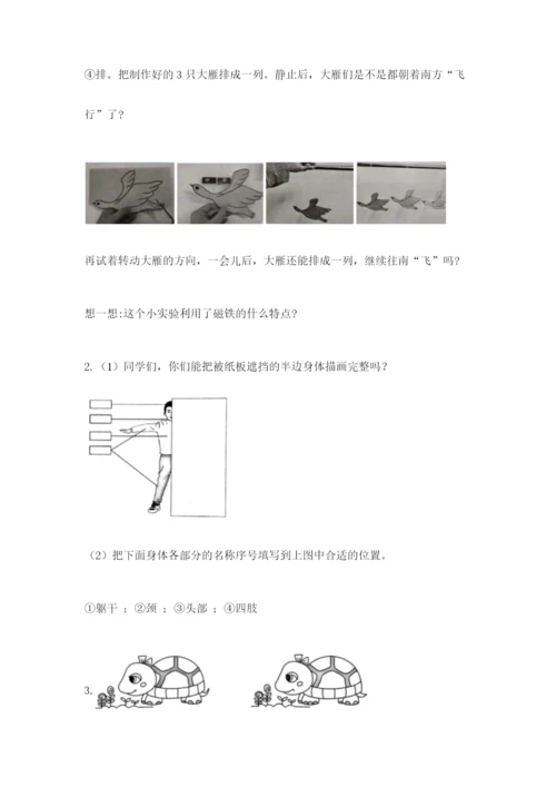教科版二年级下册科学期末测试卷附参考答案【考试直接用】.docx