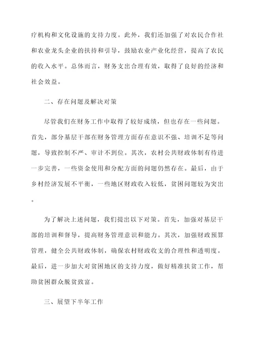 乡村财务工作汇报