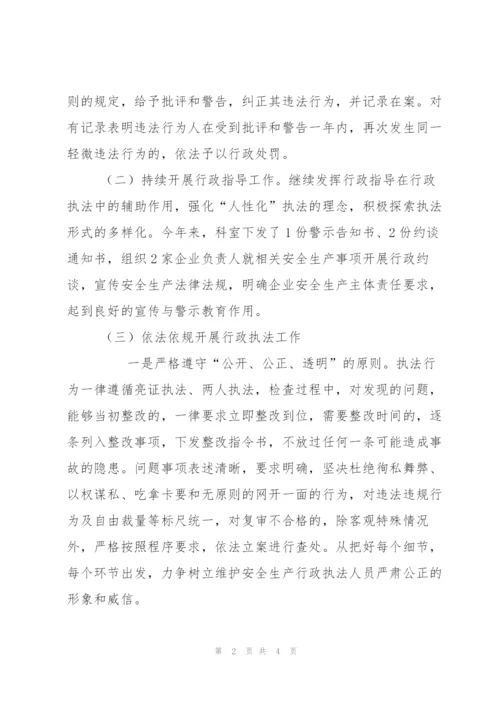 行业企业安全生产行政执法工作总结.docx