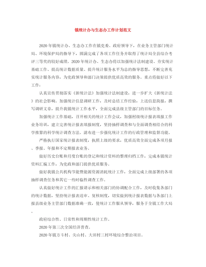 精编之镇统计办与生态办工作计划范文.docx