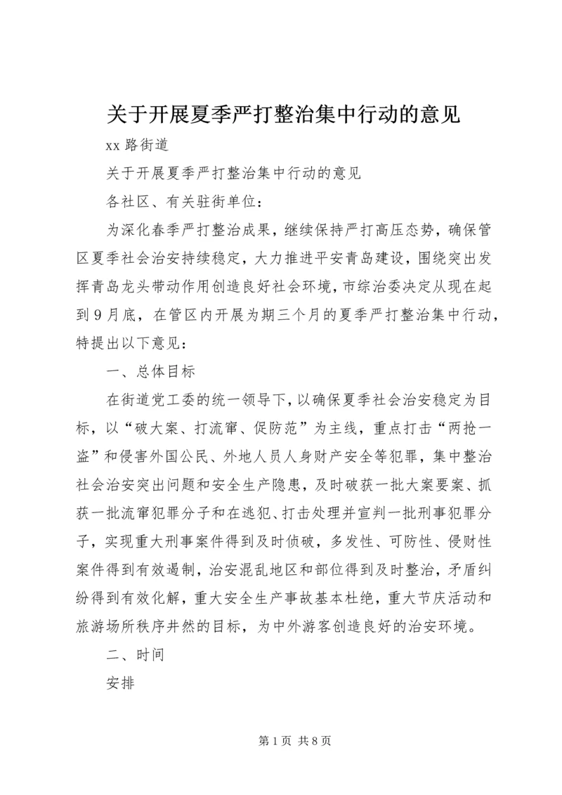 关于开展夏季严打整治集中行动的意见.docx