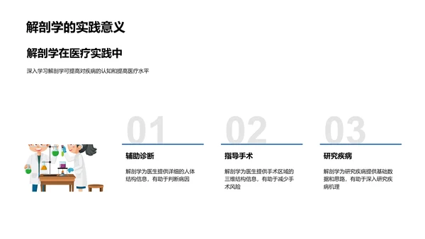 解剖学基础课程PPT模板