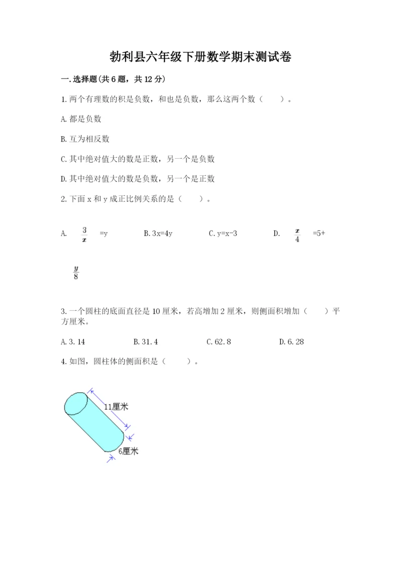 勃利县六年级下册数学期末测试卷标准卷.docx