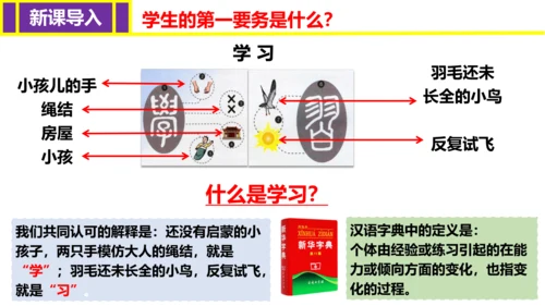 【新课标】2.1 学习伴成长   课件（23张ppt）