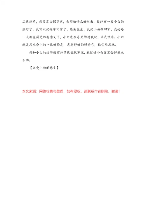 喜爱小狗的作文4篇