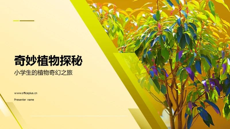 商务风教育培训教学课件PPT模板