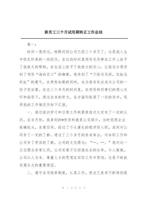 新员工三个月试用期转正工作总结.docx