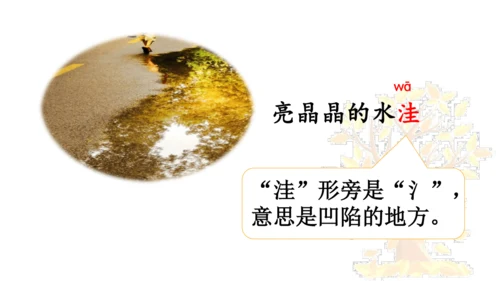 5 铺满金色巴掌的水泥道