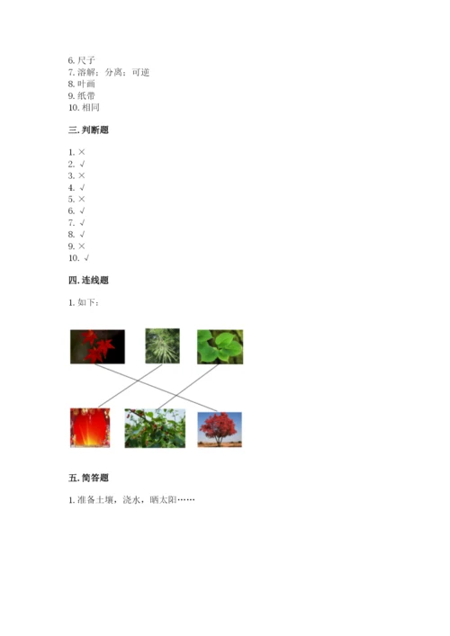 教科版一年级上册科学期末测试卷【能力提升】.docx