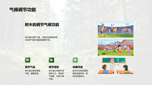 树木的生态密码