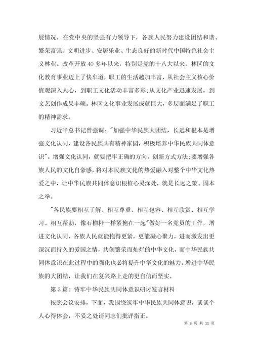 （精选）铸牢中华民族共同体意识研讨发言材料集合7篇.docx