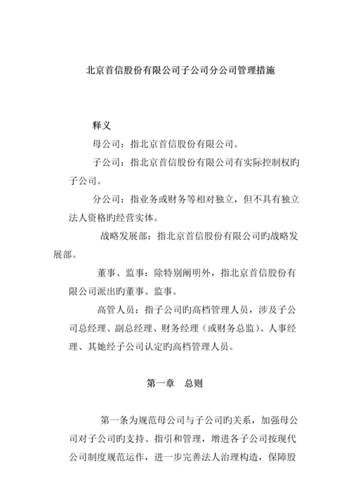 公司的分公司管理新版制度.docx