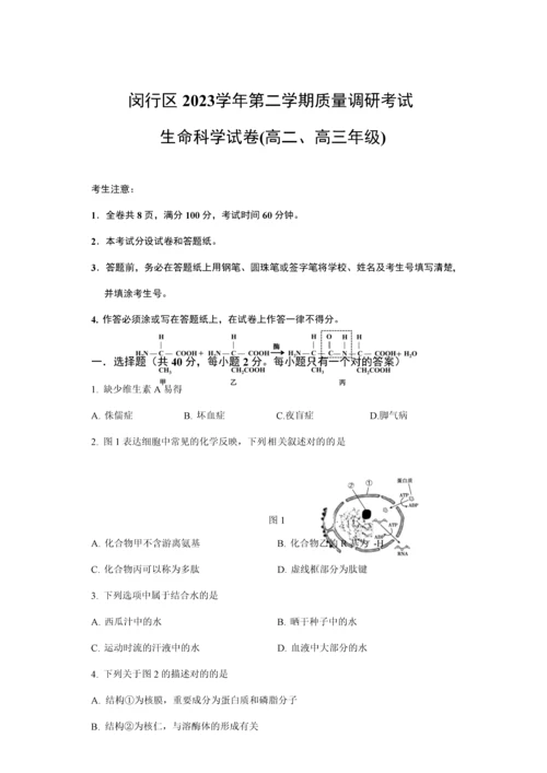 2023年上海市闵行区生命科学等级考二模试卷及参考答案.docx