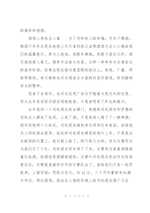 酒驾心得体会三篇.docx