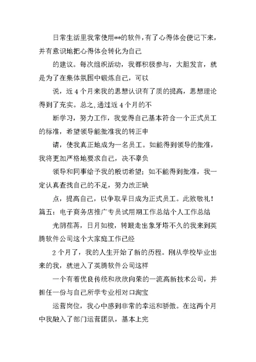 网络销售试用期工作总结