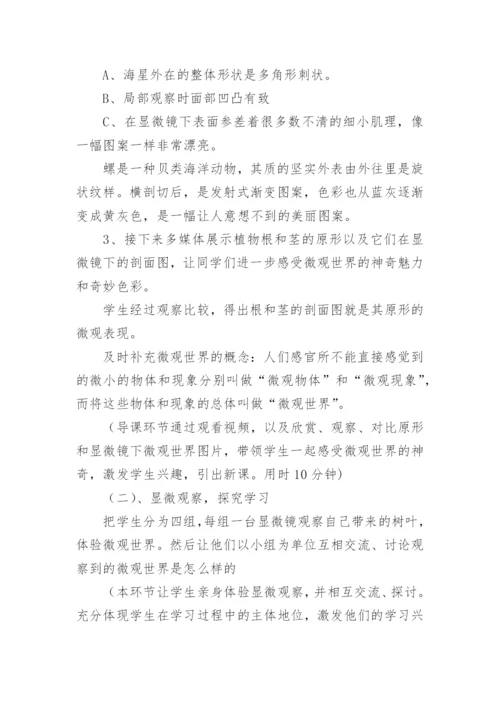 五年级美术下《微观世界》说课稿.docx