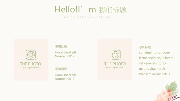 唯美淡雅小清新产品介绍方案策划动态PPT模板