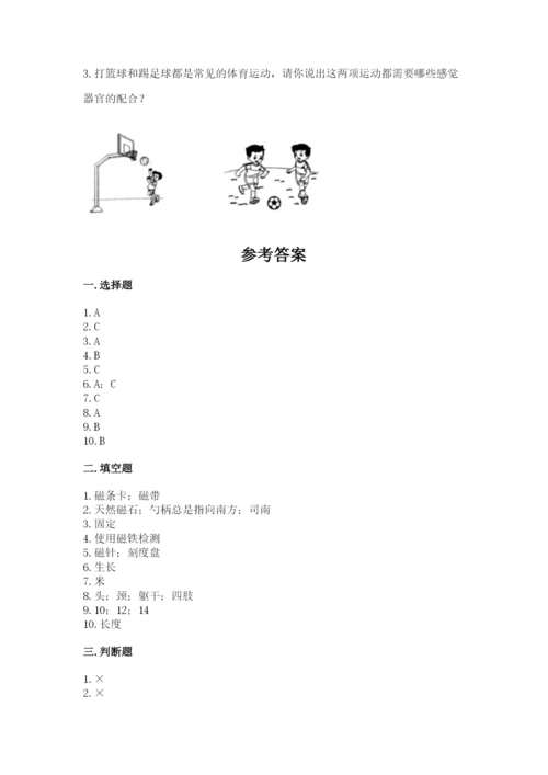 教科版二年级下册科学期末测试卷含答案【巩固】.docx