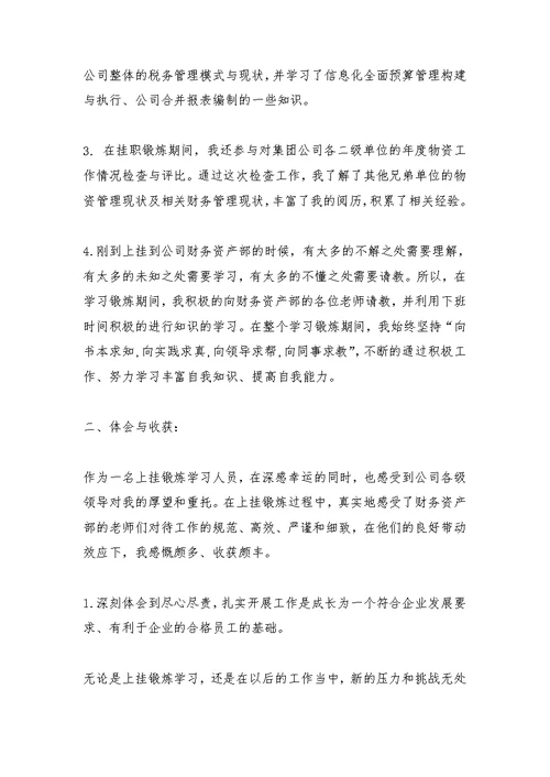 财务处挂职锻炼工作总结