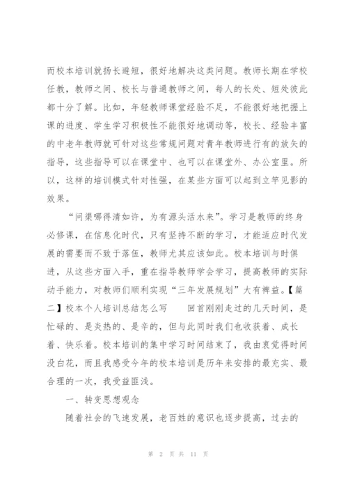 校本个人培训总结怎么写.docx