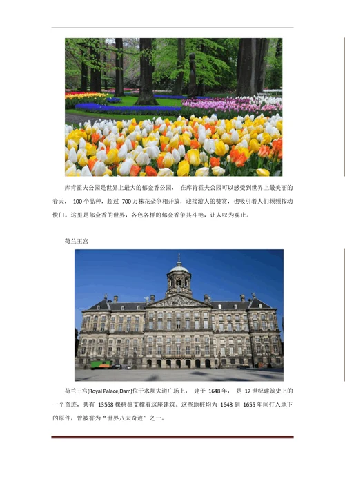 荷兰旅游攻略最佳季节著名景点美食购物