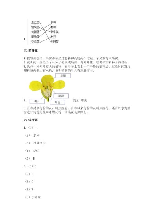 科学四年级下册第一单元植物的生长变化测试卷（精品）.docx